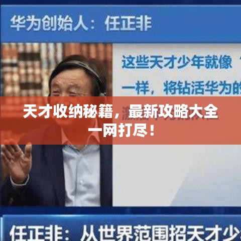 天才收纳秘籍，最新攻略大全一网打尽！