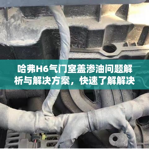 哈弗H6气门室盖渗油问题解析与解决方案，快速了解解决之道！