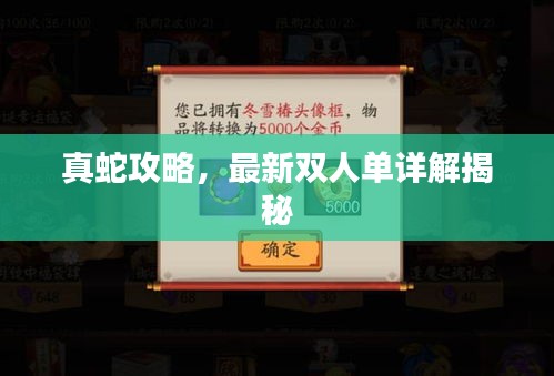 真蛇攻略，最新双人单详解揭秘