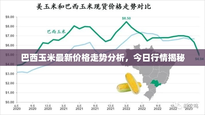 巴西玉米最新价格走势分析，今日行情揭秘