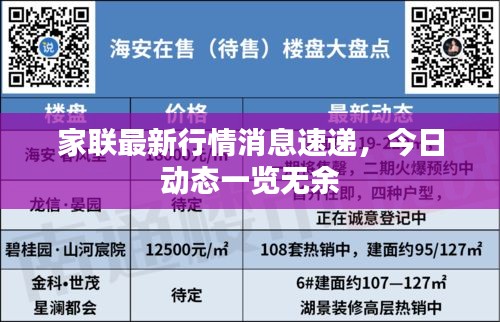家联最新行情消息速递，今日动态一览无余
