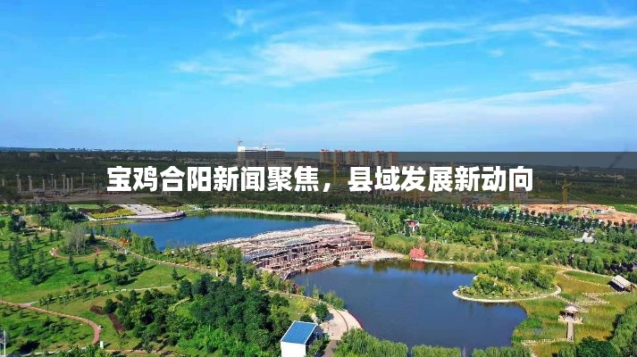 宝鸡合阳新闻聚焦，县域发展新动向