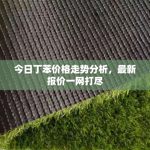 今日丁苯价格走势分析，最新报价一网打尽