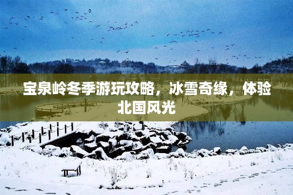 宝泉岭冬季游玩攻略，冰雪奇缘，体验北国风光