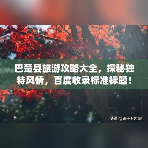 巴楚县旅游攻略大全，探秘独特风情，百度收录标准标题！