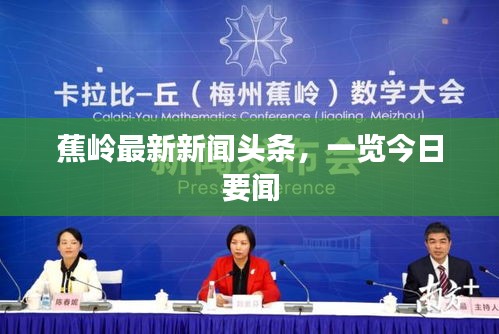 蕉岭最新新闻头条，一览今日要闻