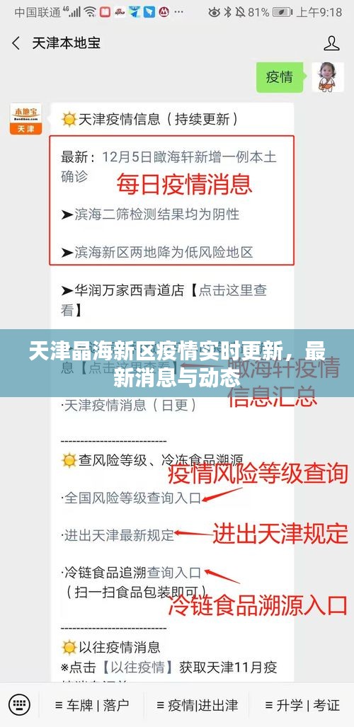 天津晶海新区疫情实时更新，最新消息与动态