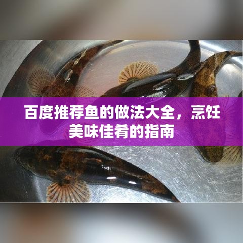 百度推荐鱼的做法大全，烹饪美味佳肴的指南