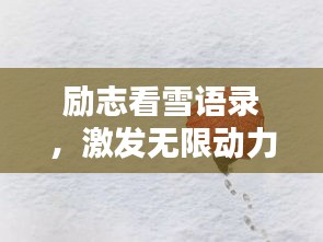 励志看雪语录，激发无限动力！