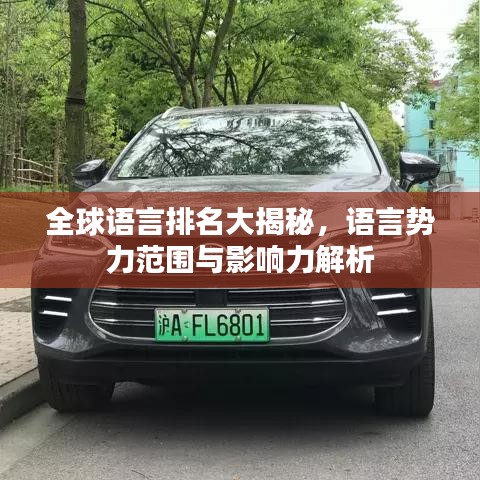 全球语言排名大揭秘，语言势力范围与影响力解析
