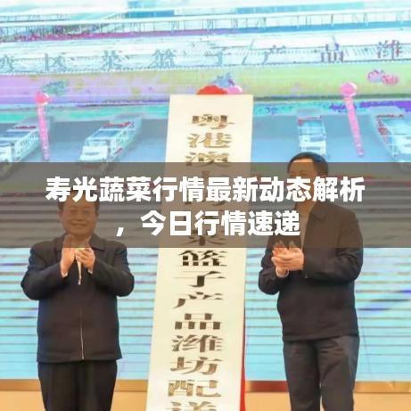 小家碧玉 第2页