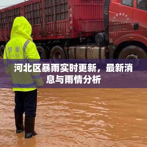 河北区暴雨实时更新，最新消息与雨情分析