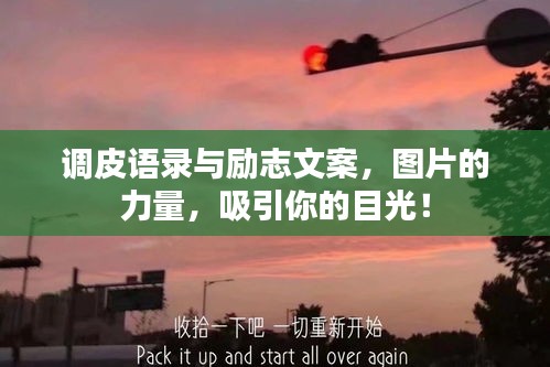 调皮语录与励志文案，图片的力量，吸引你的目光！