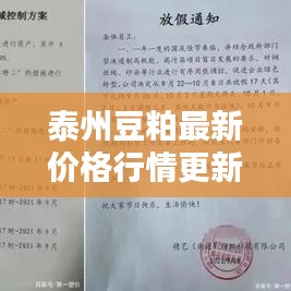 泰州豆粕最新价格行情更新！今日价格走势一网打尽