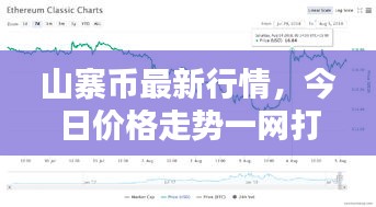 山寨币最新行情，今日价格走势一网打尽