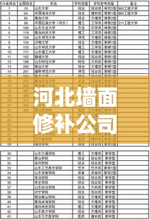 河北墙面修补公司排名大揭秘，专业团队实力比拼，优质企业榜单出炉！