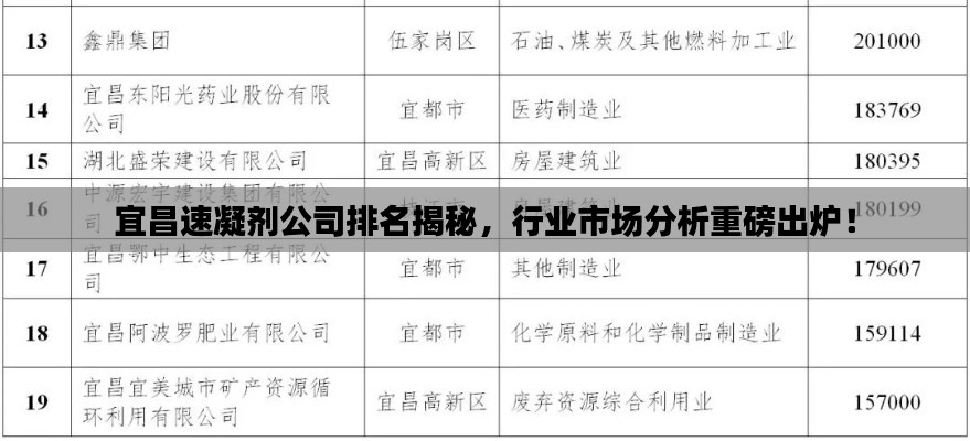 宜昌速凝剂公司排名揭秘，行业市场分析重磅出炉！