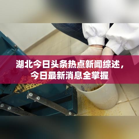 湖北今日头条热点新闻综述，今日最新消息全掌握