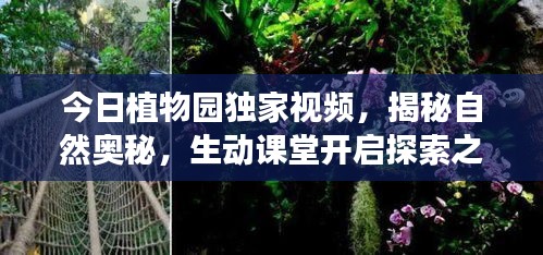今日植物园独家视频，揭秘自然奥秘，生动课堂开启探索之旅