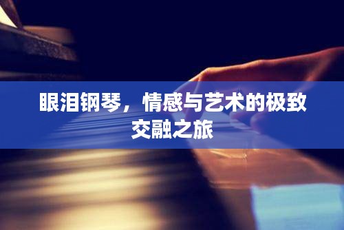 眼泪钢琴，情感与艺术的极致交融之旅