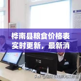 桦南县粮食价格表实时更新，最新消息一览