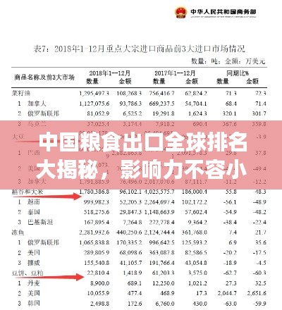中国粮食出口全球排名大揭秘，影响力不容小觑！