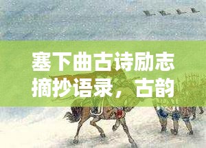 塞下曲古诗励志摘抄语录，古韵中的豪情壮志