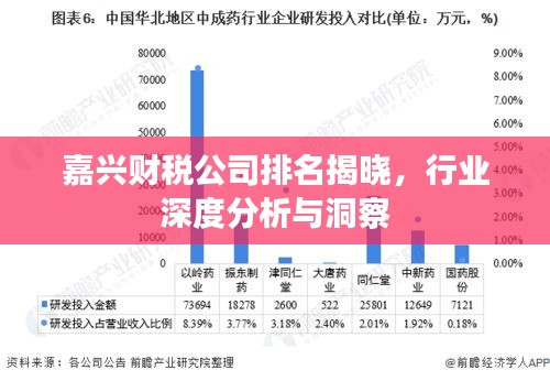 嘉兴财税公司排名揭晓，行业深度分析与洞察