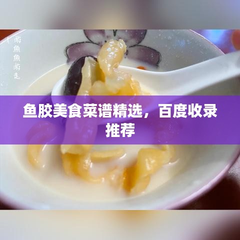 鱼胶美食菜谱精选，百度收录推荐