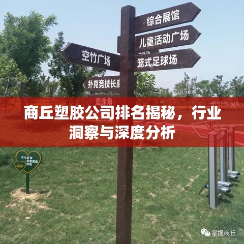 商丘塑胶公司排名揭秘，行业洞察与深度分析