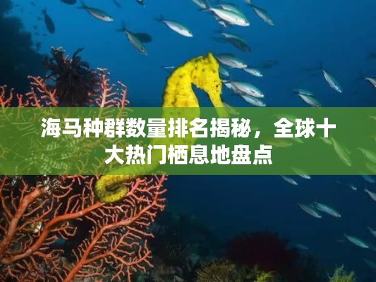 海马种群数量排名揭秘，全球十大热门栖息地盘点