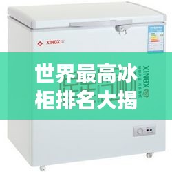 世界最高冰柜排名大揭秘，超乎想象的冷藏之巅！