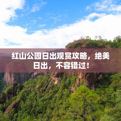 红山公园日出观赏攻略，绝美日出，不容错过！