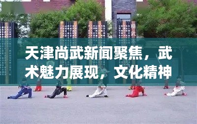 天津尚武新闻聚焦，武术魅力展现，文化精神传承