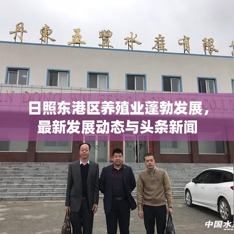 日照东港区养殖业蓬勃发展，最新发展动态与头条新闻