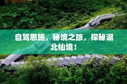 民贵君轻 第2页