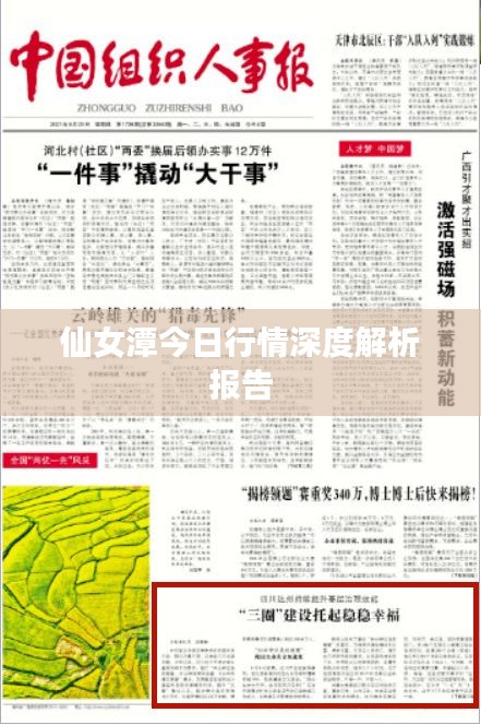 仙女潭今日行情深度解析报告
