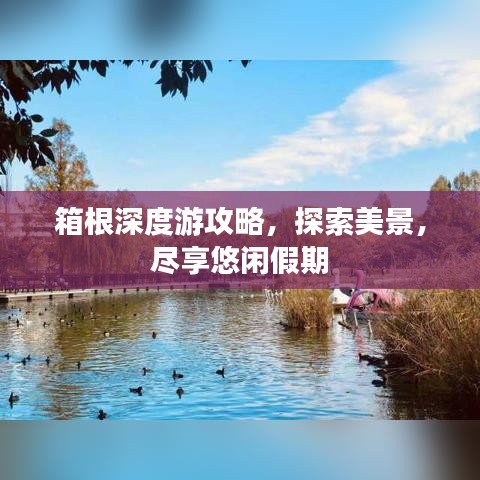 箱根深度游攻略，探索美景，尽享悠闲假期