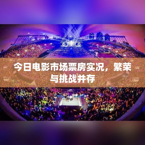 今日电影市场票房实况，繁荣与挑战并存