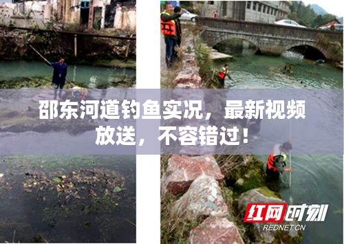 邵东河道钓鱼实况，最新视频放送，不容错过！