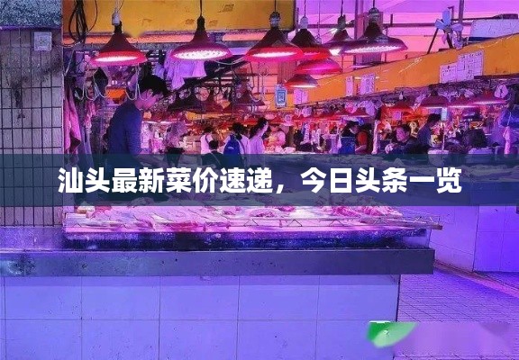 汕头最新菜价速递，今日头条一览