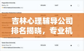 吉林心理辅导公司排名揭晓，专业机构的重要性与影响力