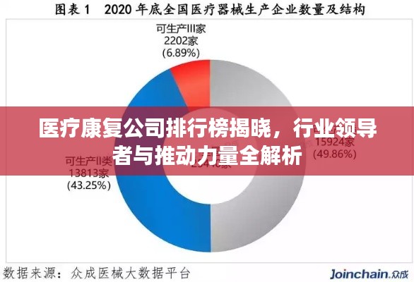 医疗康复公司排行榜揭晓，行业领导者与推动力量全解析