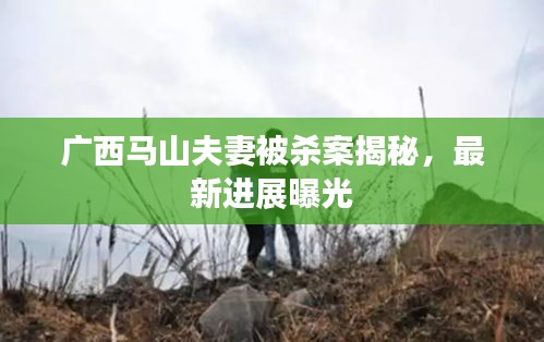 广西马山夫妻被杀案揭秘，最新进展曝光