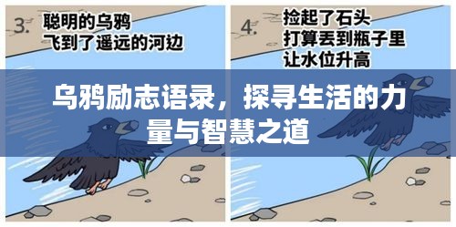 乌鸦励志语录，探寻生活的力量与智慧之道