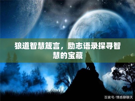 狼道智慧箴言，励志语录探寻智慧的宝藏