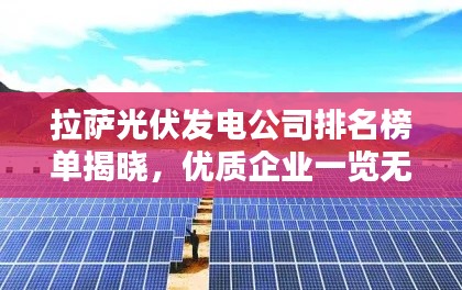 拉萨光伏发电公司排名榜单揭晓，优质企业一览无余