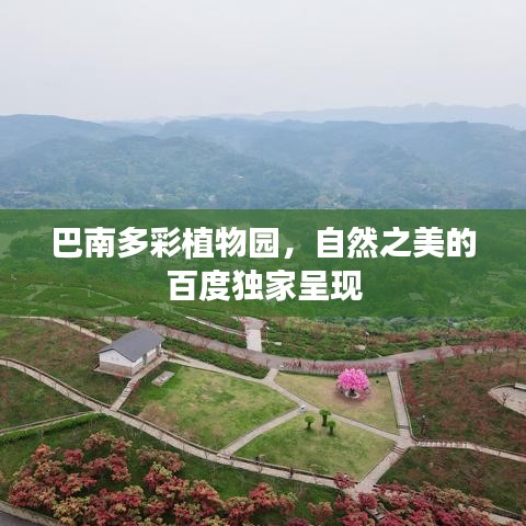巴南多彩植物园，自然之美的百度独家呈现
