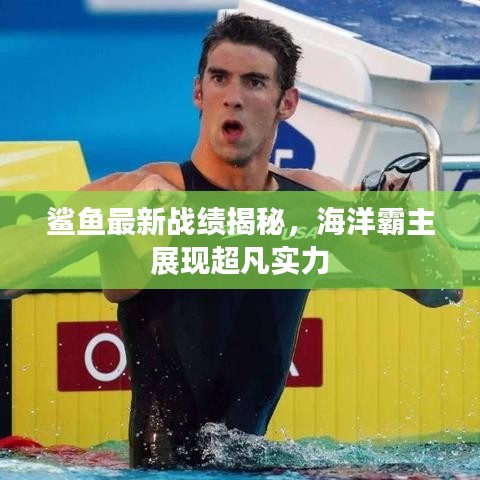 鲨鱼最新战绩揭秘，海洋霸主展现超凡实力