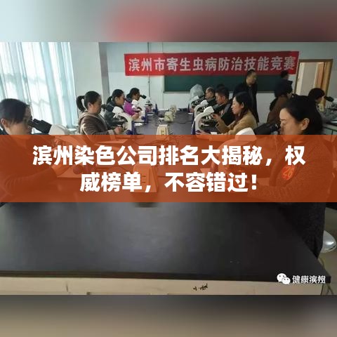 滨州染色公司排名大揭秘，权威榜单，不容错过！